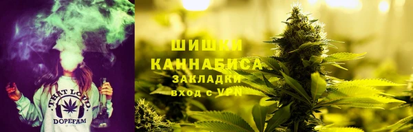 стаф Вязники