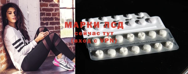 молекула духа Вяземский