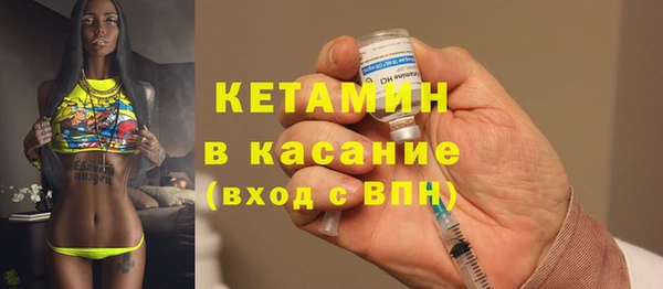 молекула духа Вяземский
