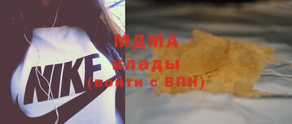 молекула духа Вяземский
