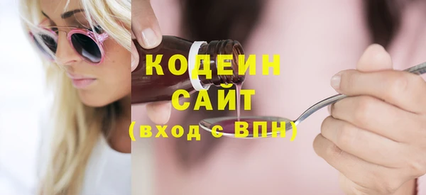 молекула духа Вяземский
