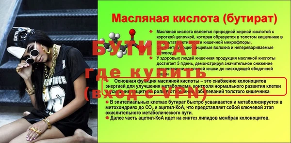 молекула духа Вяземский