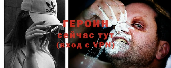 молекула духа Вяземский